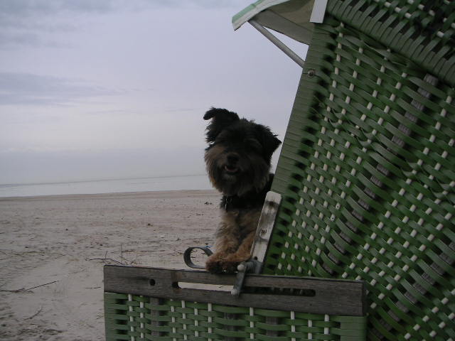 Bild 235.jpg